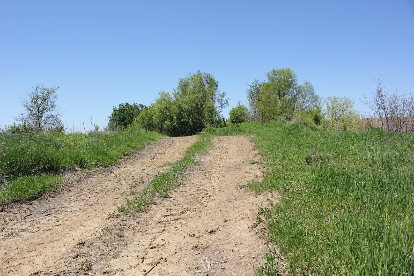 Looking north